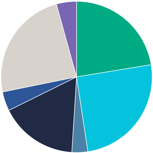 life insurance claim types pie chart
