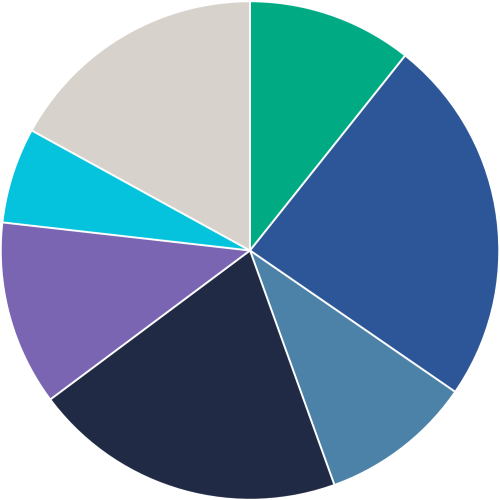 income protection claim types pie chart