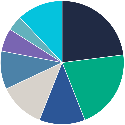 income protection claim types pie chart